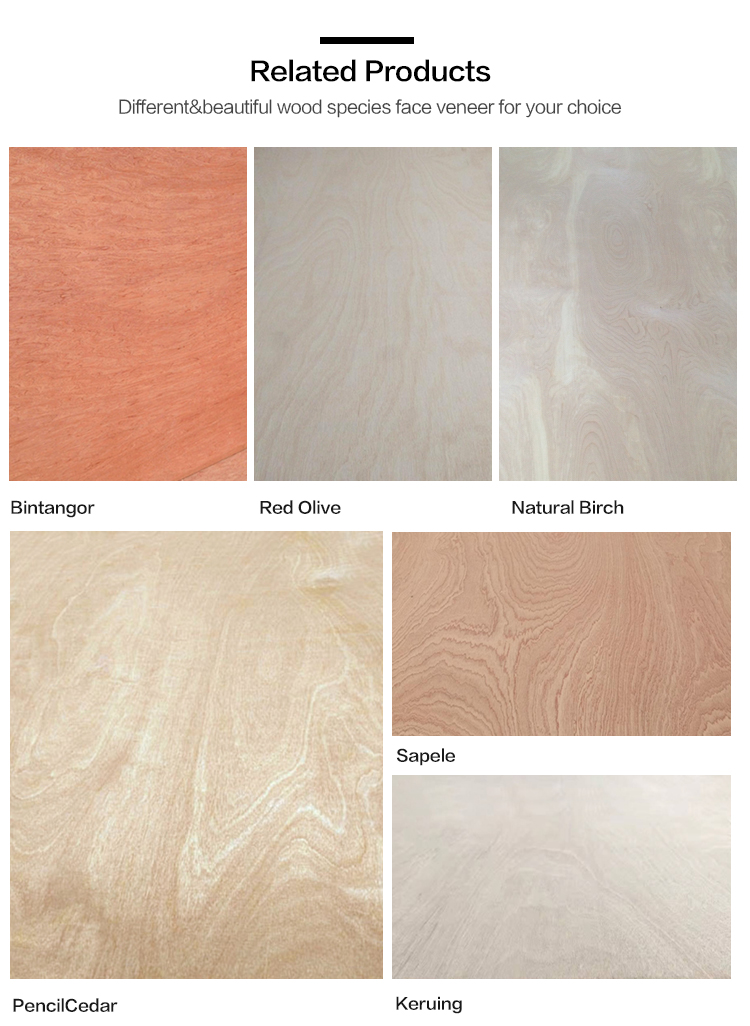 Natural Okoume Bintangor Veneered Commercial Furniture Plywood