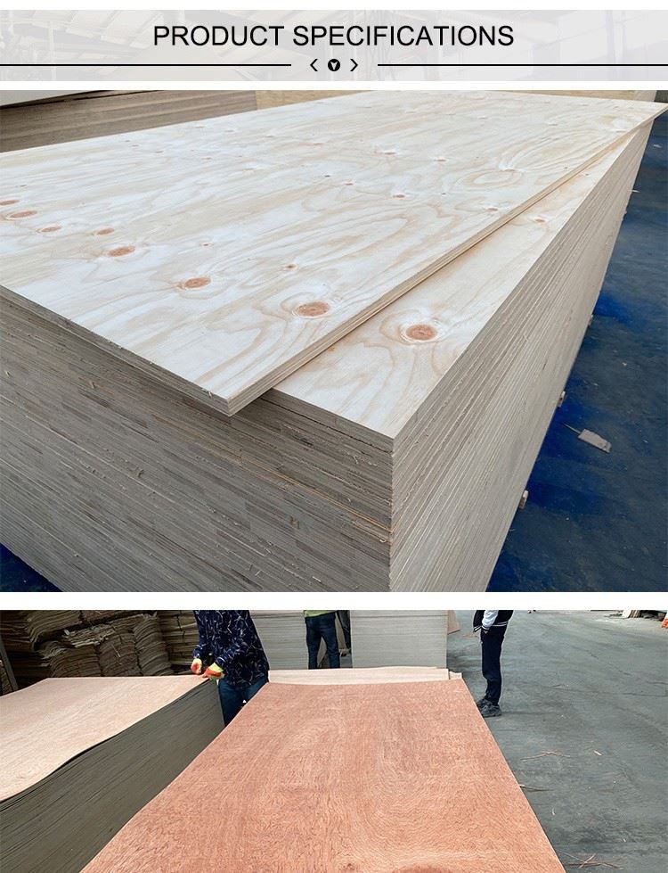 pine plywood & bintangor plywood