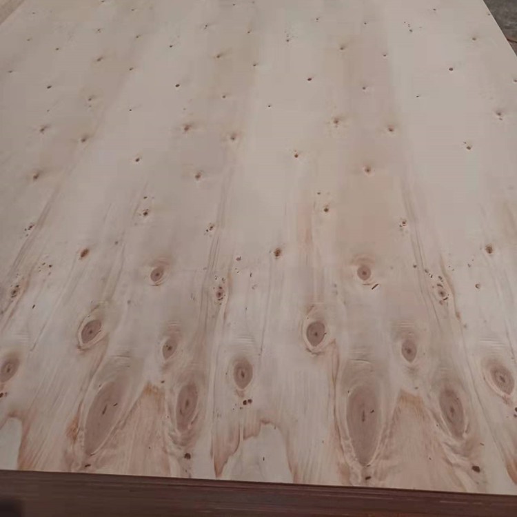 Poplar Back1 Poplar Back1