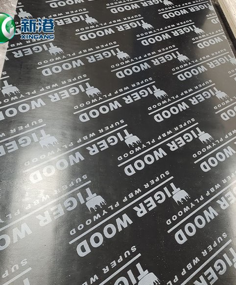 1661304033077 1661304033077