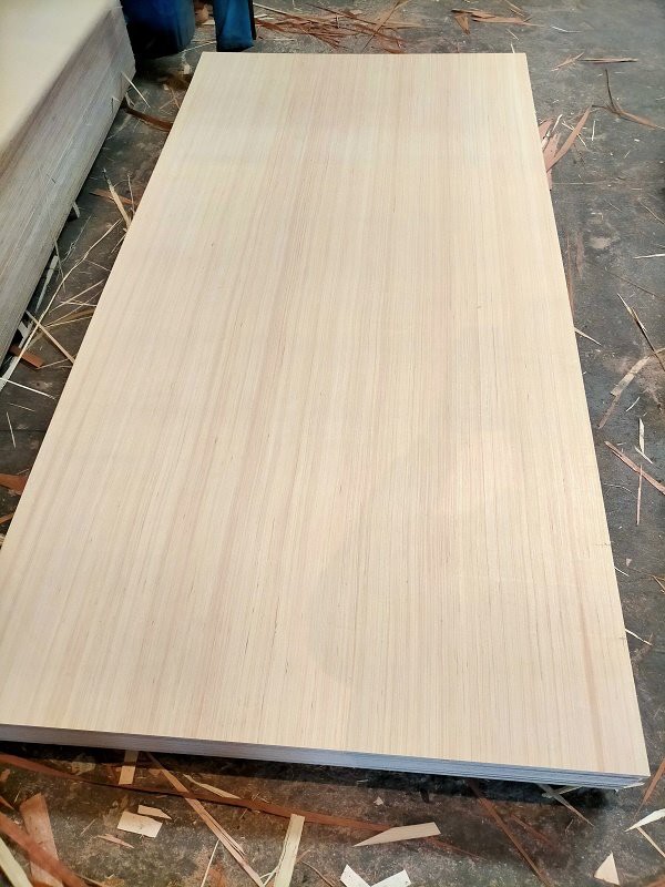 product-458-570 WHITE EV TRIPLAY