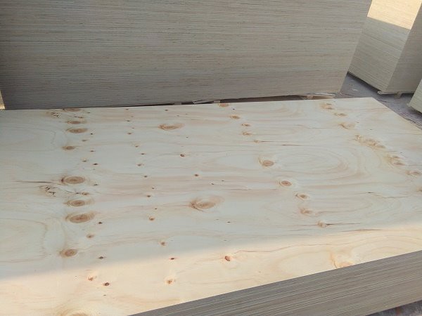 CDX plywood