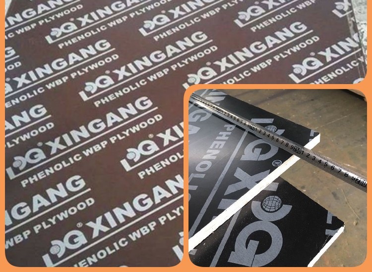 XG FFP WITH LOGO 221020_ XG FFP WITH LOGO 221020_