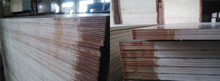 221021 Birch FFP Stacking 221021 Birch FFP Stacking