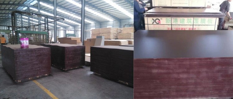XG FFP Packing 221109