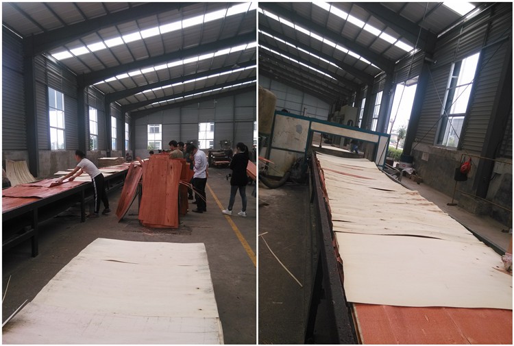 Veneer Spreading 221122 Veneer Spreading 221122