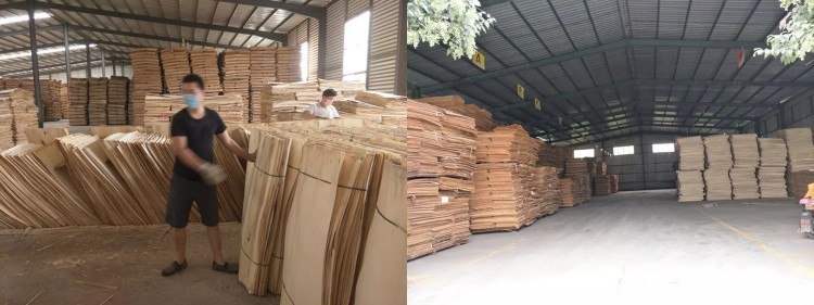 CP Bintangor Vnr Slctng