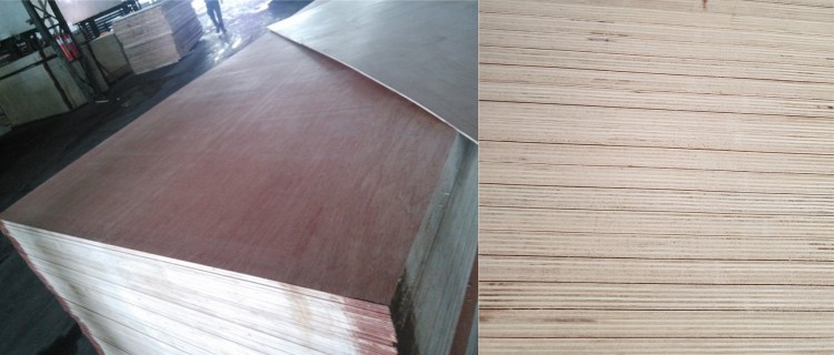 Bintangor Plywood Stacking_