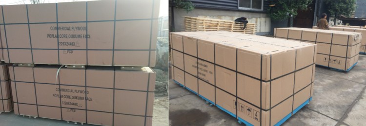 CP CARDBOARD PACKING
