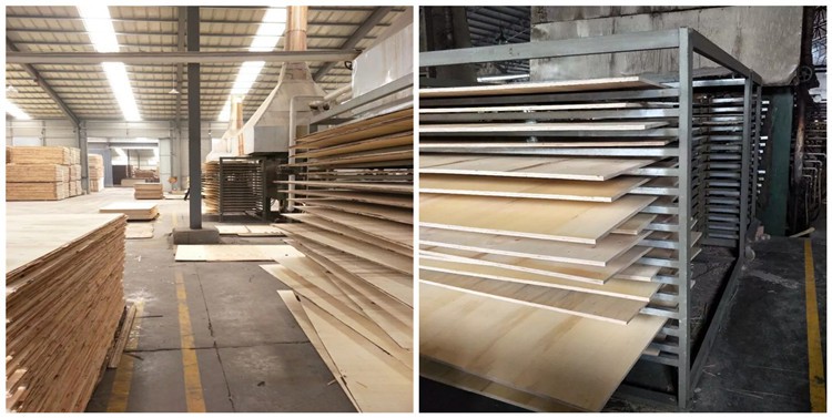 PLYWOOD AFTER HOT PRESS 221207 PLYWOOD AFTER HOT PRESS 221207