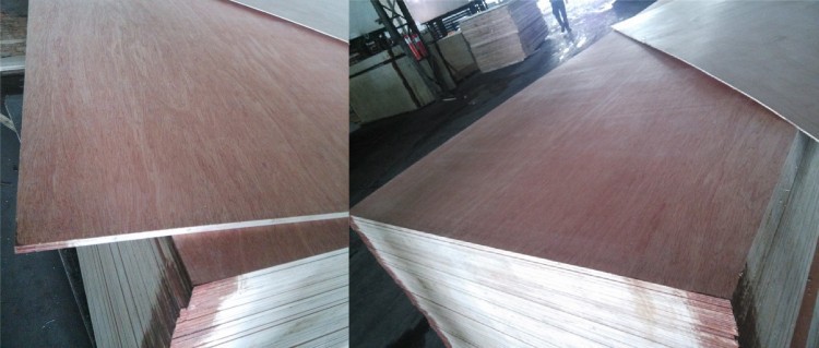 product-750-319