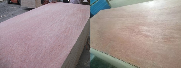 product-750-281