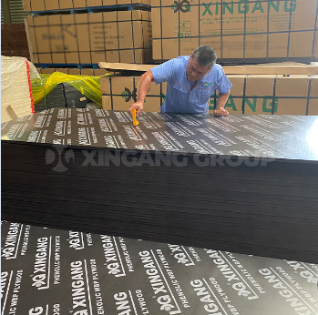 product-349-346 product-349-346