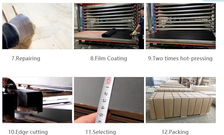 product-787-475 product-787-475