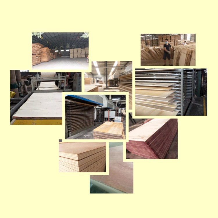 product-750-750 product-750-750