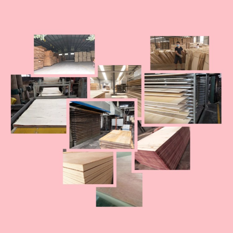 product-750-750 product-750-750
