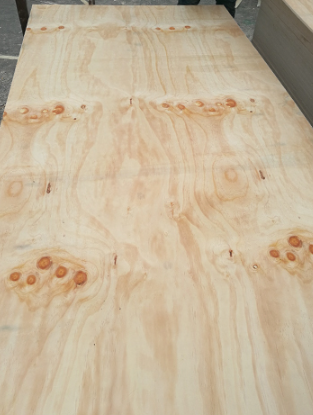 product-313-415