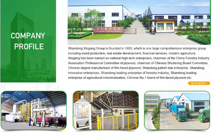 company profile company profile