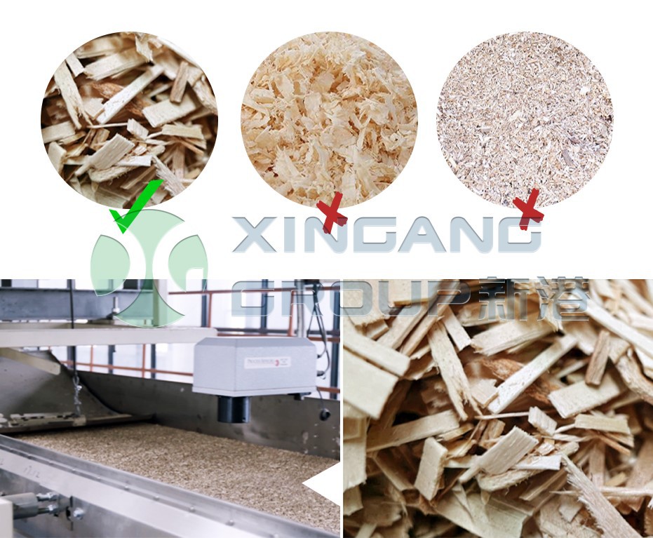 XINGANG Super LSB XINGANG Super LSB