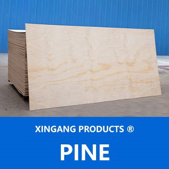 Pine Pine