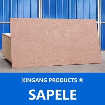 Sapele