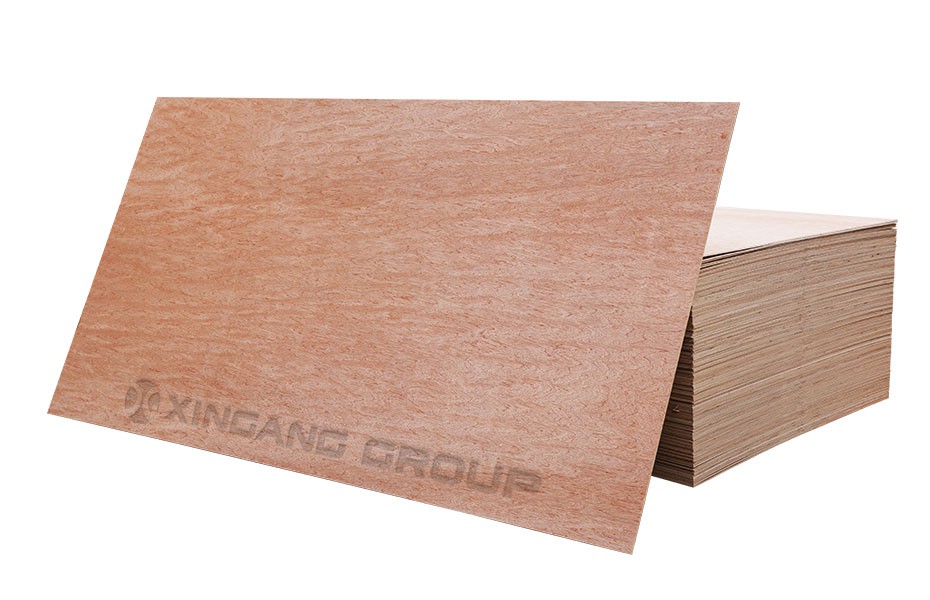 Bintangar plywood