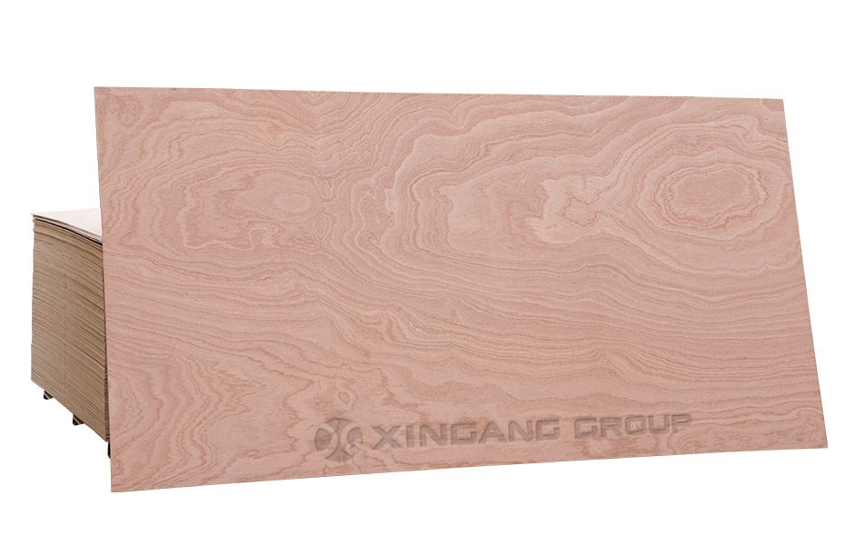 Sapele Plywood