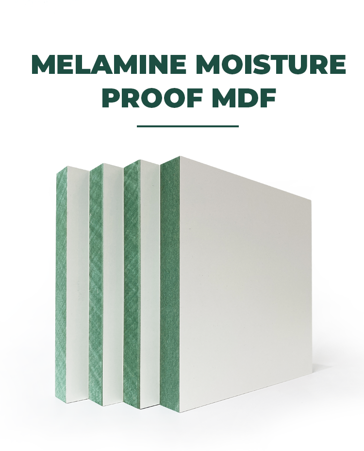 MDF206