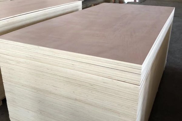 12mm Bintangor Plywood