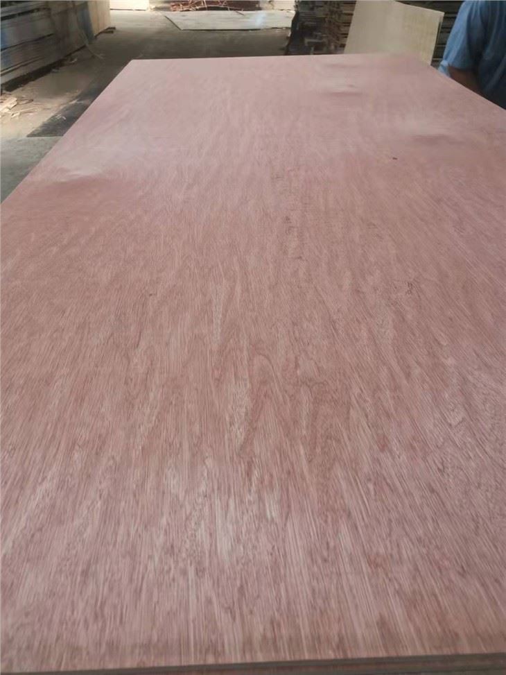 Bintangor Okoume Pine Plywood For Furniture/packing