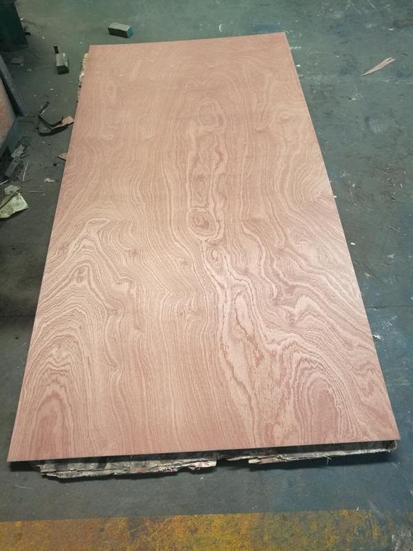 sapele plywood