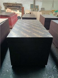 18mm Poplar Core Film Faced Plywood