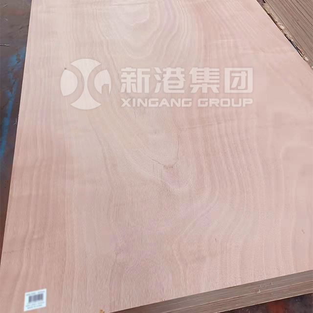 1220*2440mm Okoume Surface Commercial Plywood