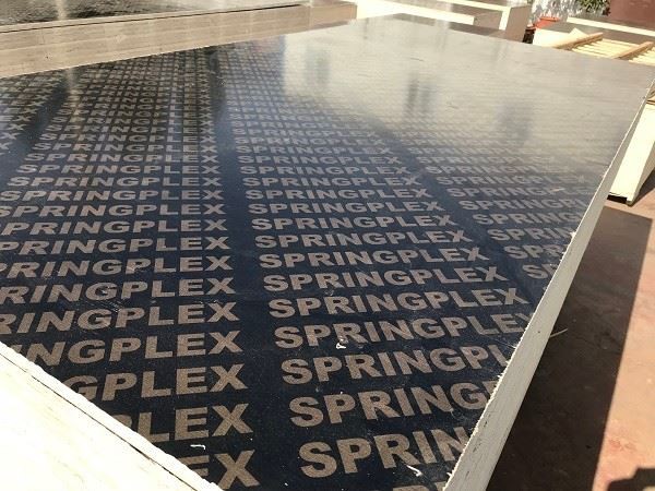 1220x2440mm Marine Plywood Recycled Core