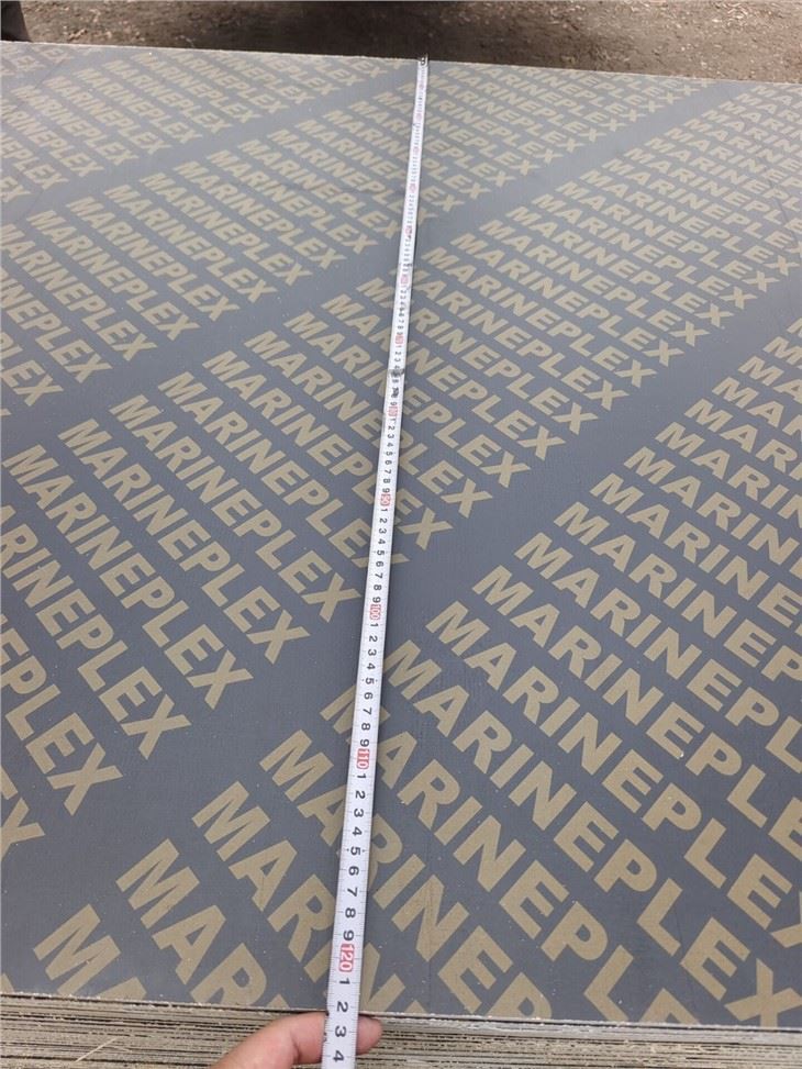 1220X2440X9MM Film Faced Plywood