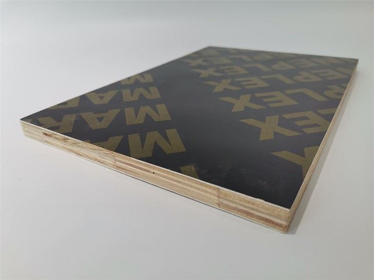 12mm 15mm 18mm Finger-jointed Film Faced Plywoood