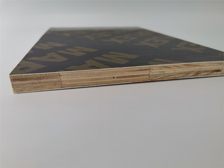 12mm 15mm 18mm Finger-jointed Film Faced Plywoood