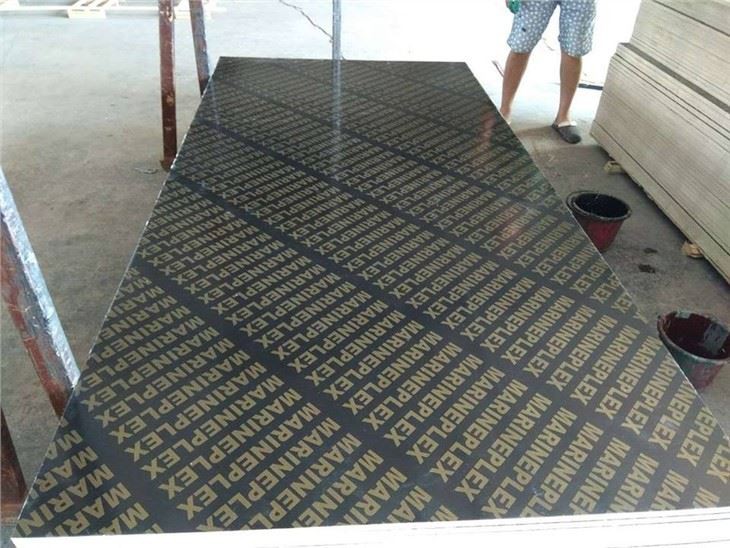 18mm Concrete Plywood Factory in China