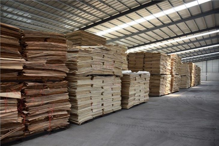 18mm Film Faced Plywood Supplier