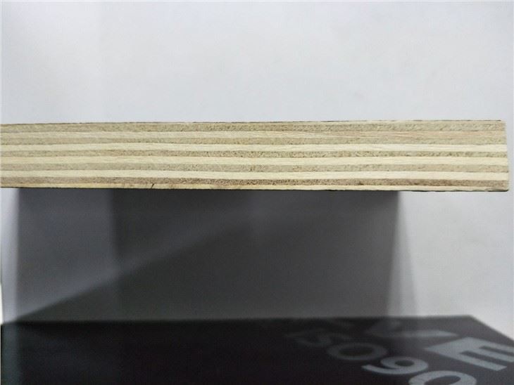 18mm Film Faced Plywood-China Manufacturer