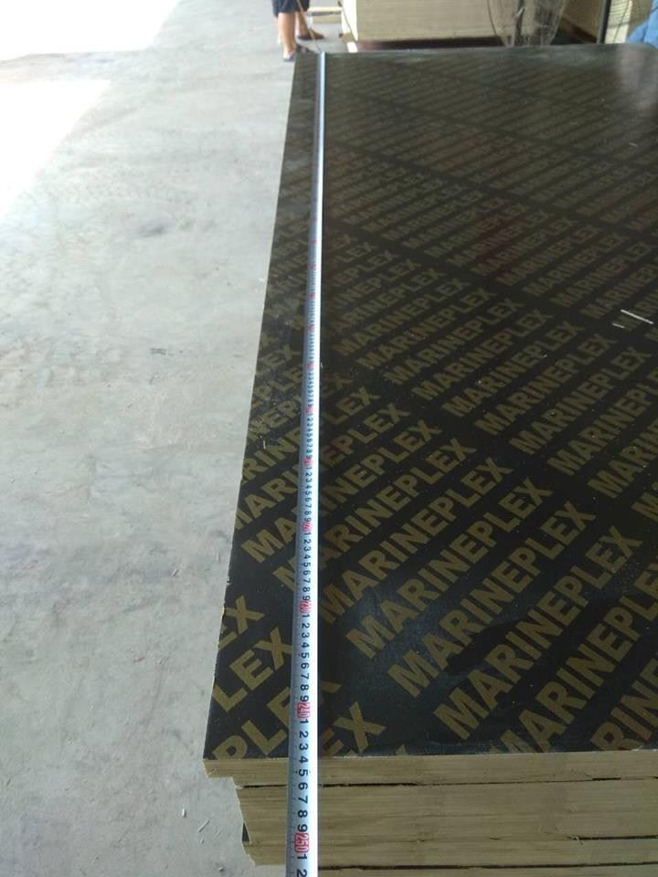 18mm Shuttering Plywood For Construction