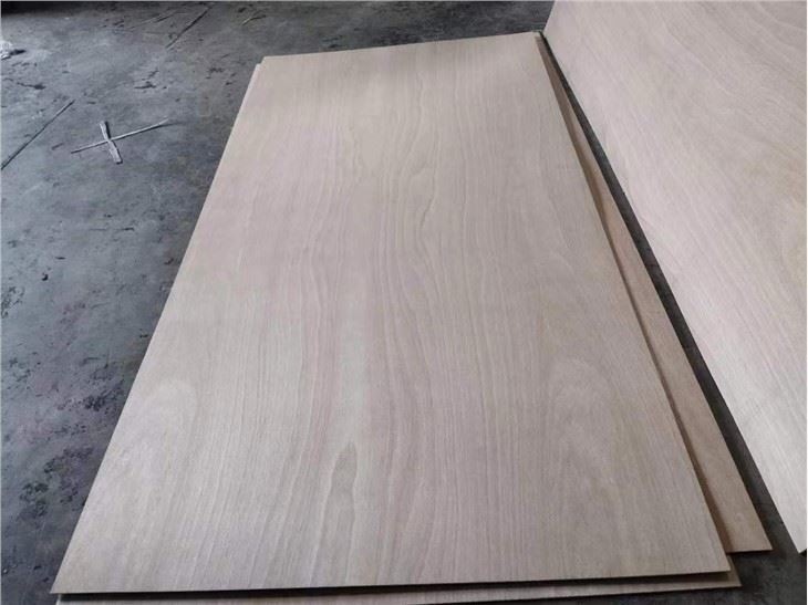 Commercial Plywood 1220*2440 Bintangor Face