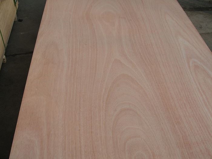 4'x8'x18mm Okoume BB/CC Plywood