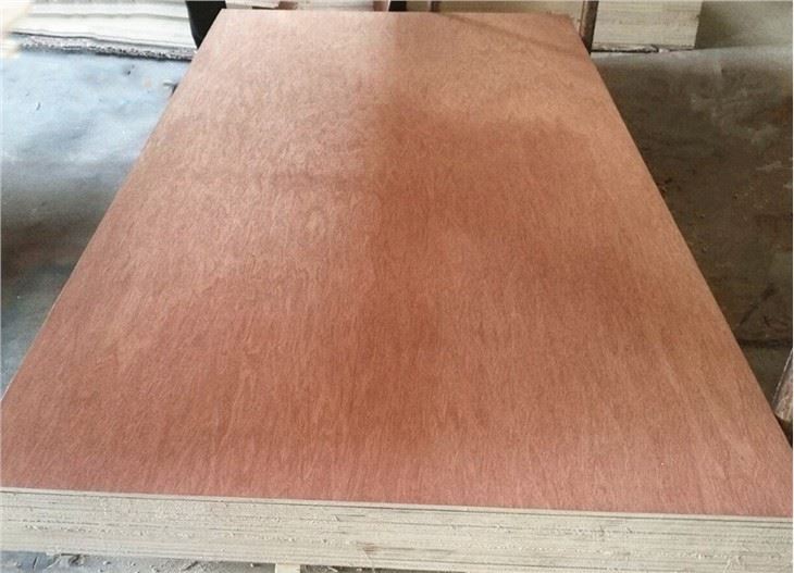 4mm Bintangor Plywood BB/CC