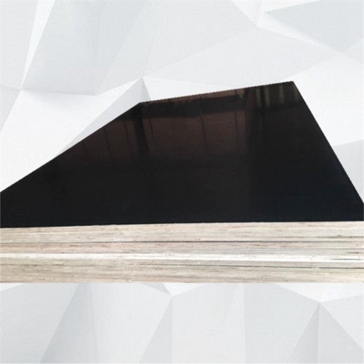 4x8x18mm Film Faced Plywood Standard Size Regular