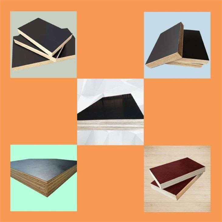 4x8x18mm Film Faced Plywood Standard Size Regular