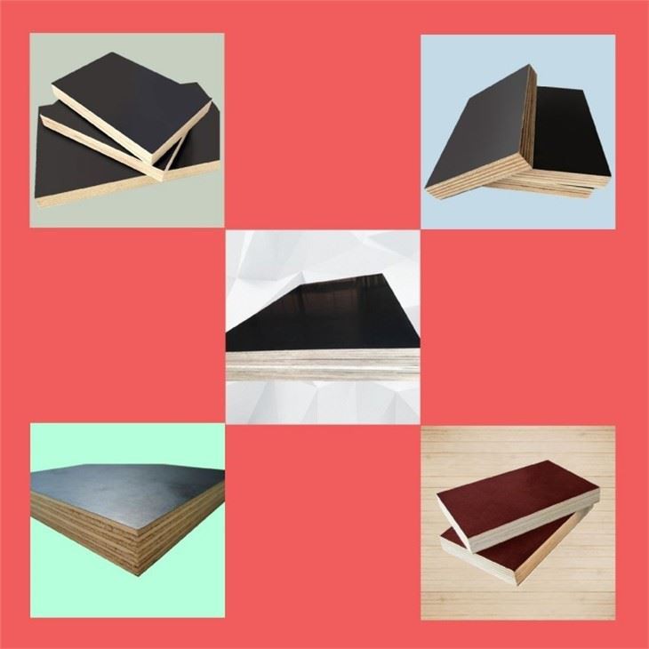 4x8x18mm Film Faced Plywood Standard Size Regular