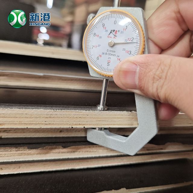 610x2500mm Film Faced Plywood