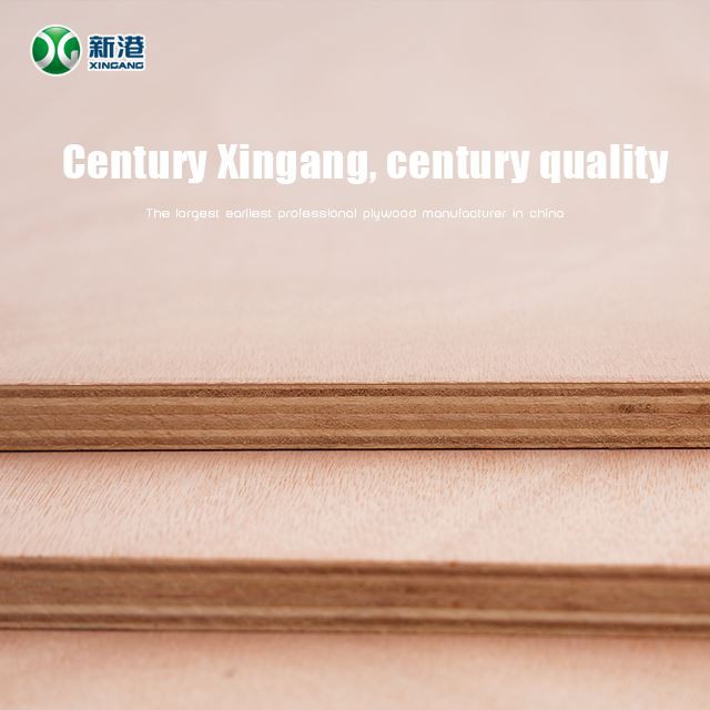 8mm/12mm/15mm Brich Plywood Best Quality in China Factory