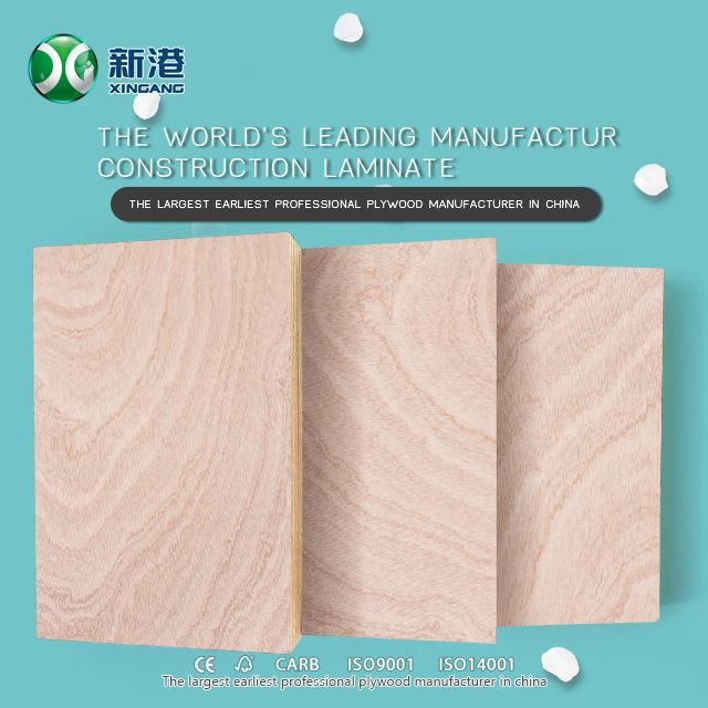 9mm 12mm 15mm 18mm Faced Okoume Plywood Bintangor Plywood Hardwood Plywood